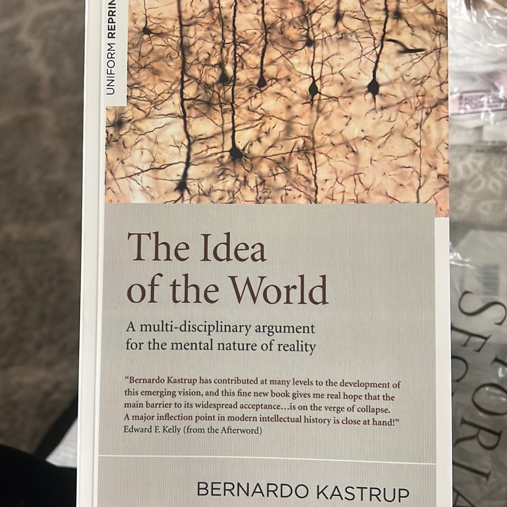Theβ Idea of the World by Bernardo Kastrup